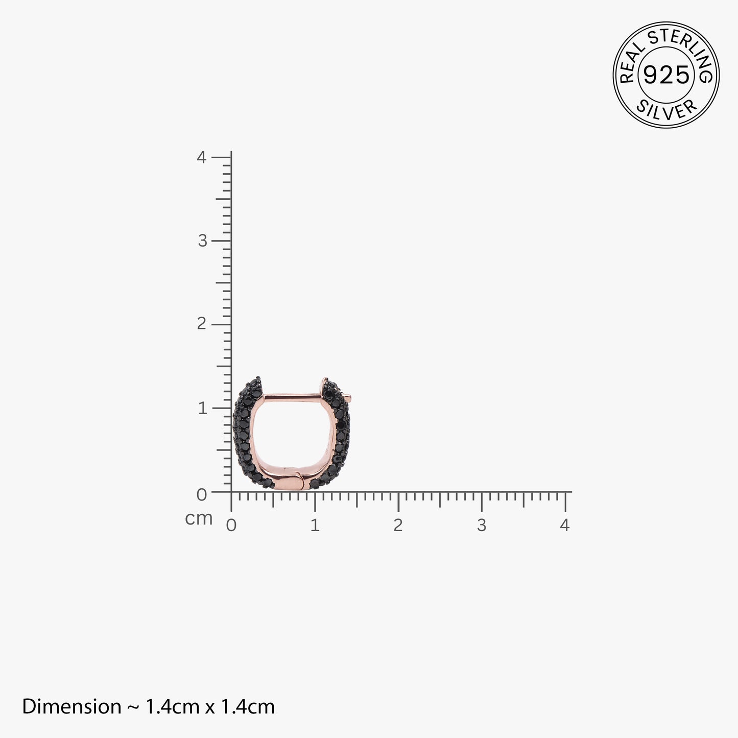 Midnight Sparkle Hoop Earrings