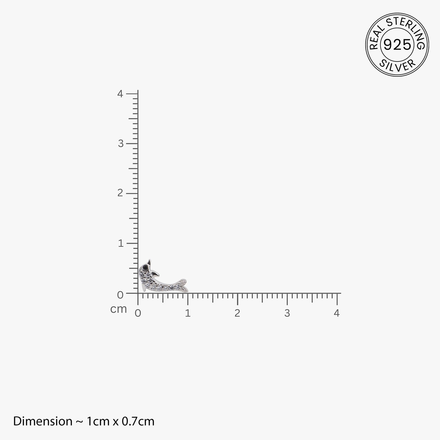 Ocean Charm Dolphin Silver Earrings