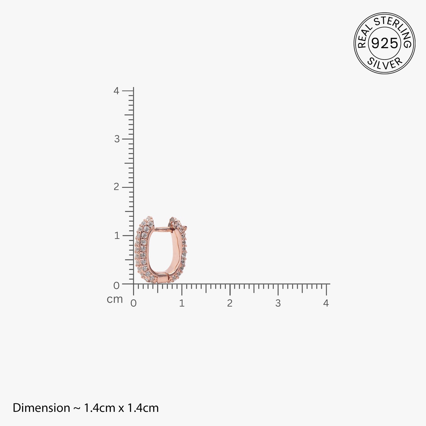 Radiant Sparkle Hoop Earrings